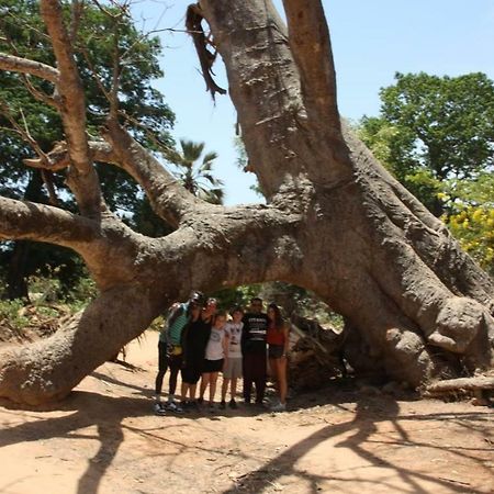 Centre Touristique Et Culturel Casamance Pensionat Diakene Ouolof Exteriör bild