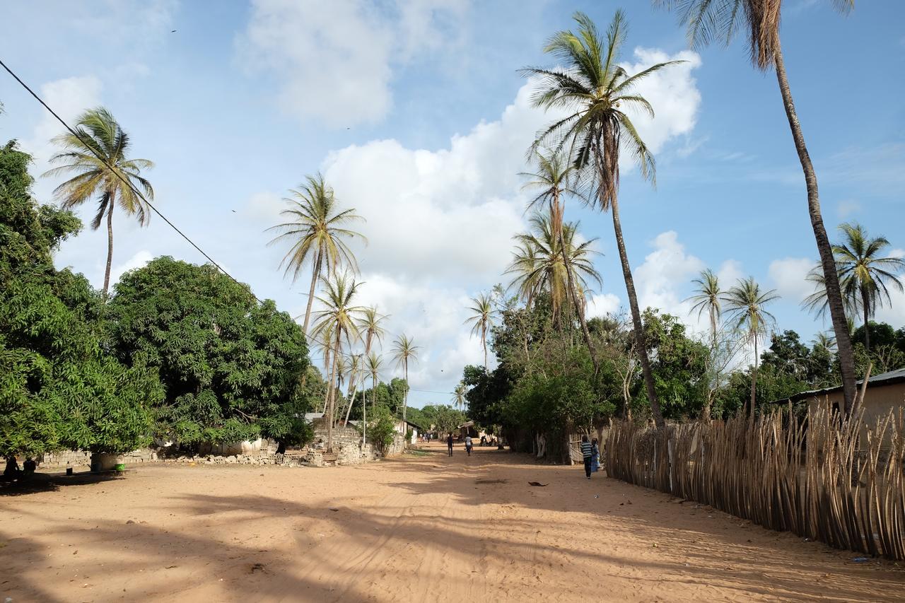 Centre Touristique Et Culturel Casamance Pensionat Diakene Ouolof Exteriör bild