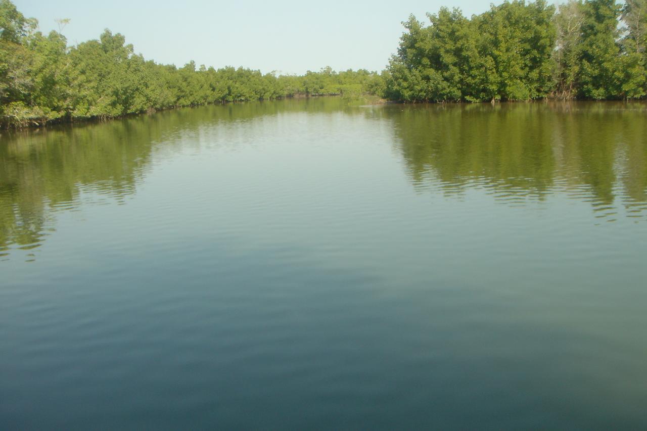 Centre Touristique Et Culturel Casamance Pensionat Diakene Ouolof Exteriör bild