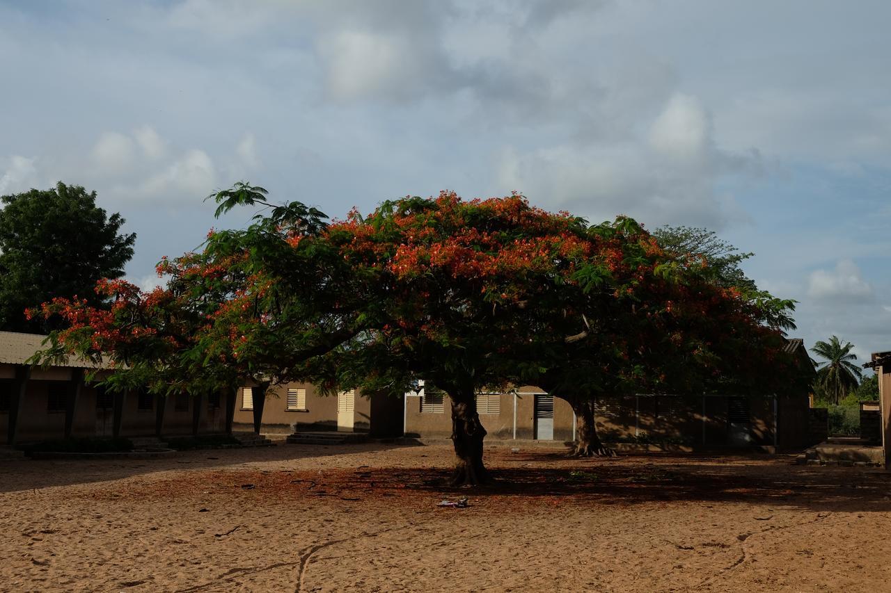 Centre Touristique Et Culturel Casamance Pensionat Diakene Ouolof Exteriör bild