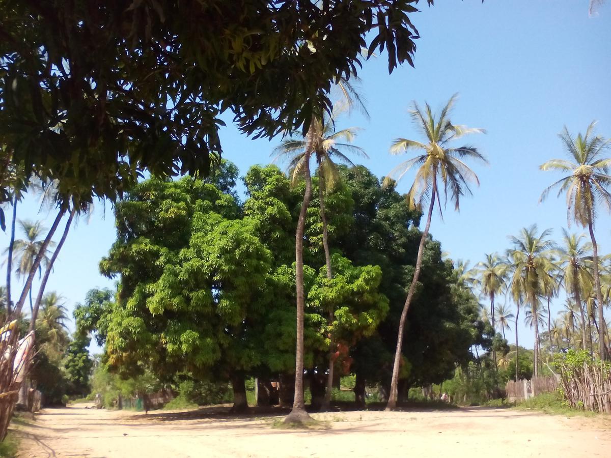 Centre Touristique Et Culturel Casamance Pensionat Diakene Ouolof Exteriör bild