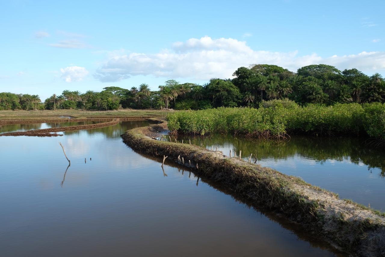 Centre Touristique Et Culturel Casamance Pensionat Diakene Ouolof Exteriör bild