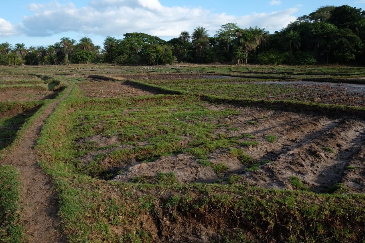 Centre Touristique Et Culturel Casamance Pensionat Diakene Ouolof Exteriör bild