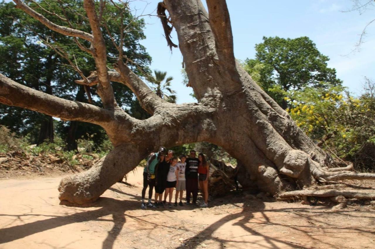 Centre Touristique Et Culturel Casamance Pensionat Diakene Ouolof Exteriör bild