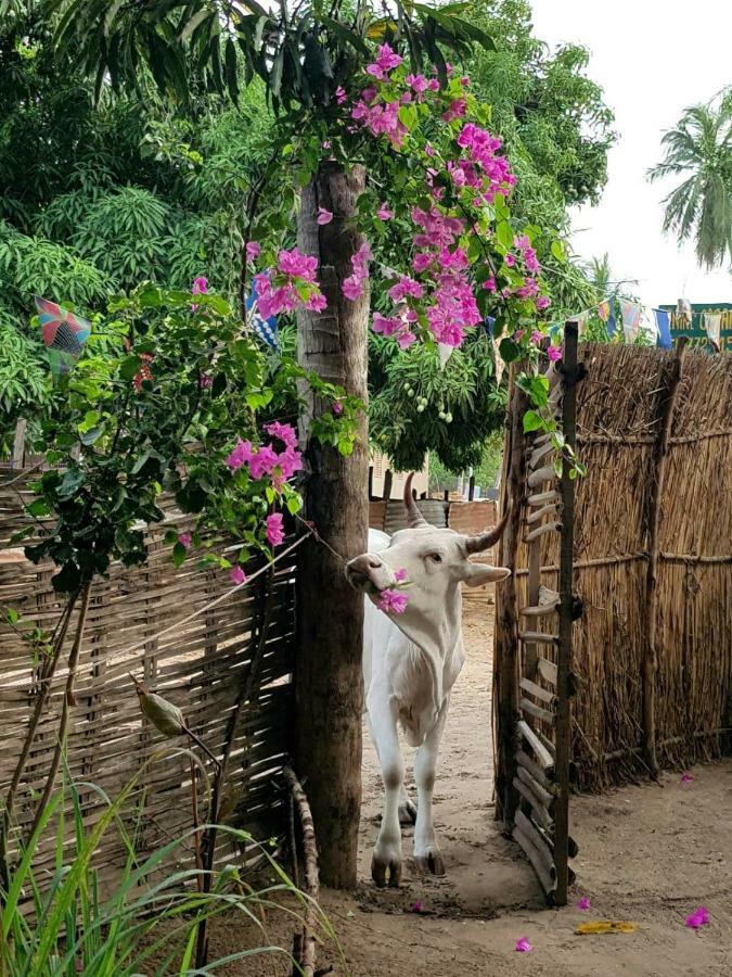Centre Touristique Et Culturel Casamance Pensionat Diakene Ouolof Exteriör bild