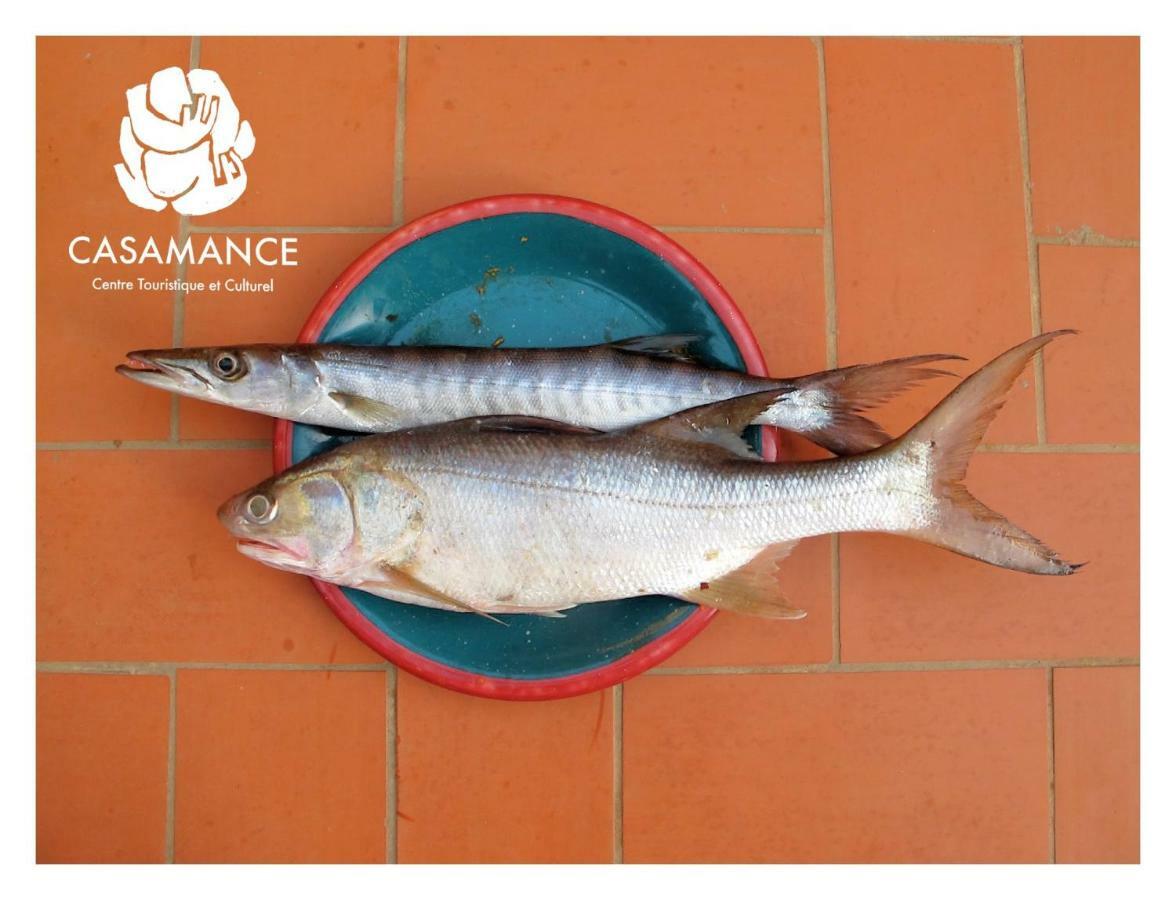 Centre Touristique Et Culturel Casamance Pensionat Diakene Ouolof Exteriör bild